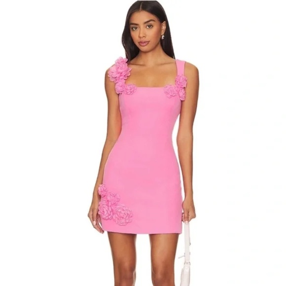 Elliatt Dresses & Skirts - Elliatt Trompe Pink 3D Floral Embellished Mini Dress Large L